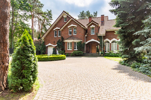 Best Driveway Paving Company  in Erin, TN