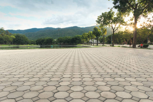 Best Affordable Driveway Pavers  in Erin, TN